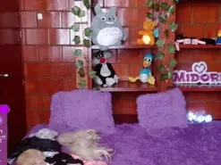 Amateur Live Porn of MidoriQuinn