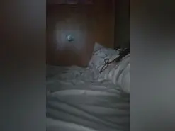 Amateur Live Porn of Laputa2024