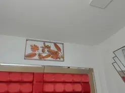 Amateur Nude Webcam of AfroditaVega