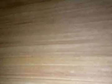 Bongacams Live Sex of Asiankitties