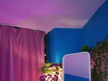 Bongacams Live Porn of ElyssawetXX