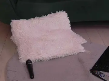 Bongacams Adult Webcam of BailleyRush