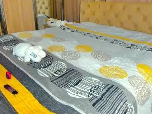 Cam4 Free Porn Cam of Lesyalis