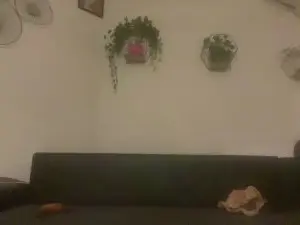 Cam4 Nude Webcam of Mf686868