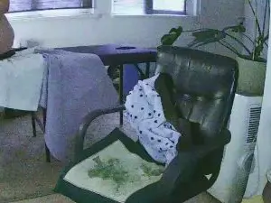Cam4 Live Sex Cam of FelinaMza