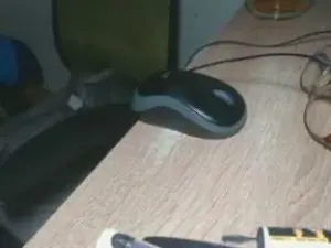 Cam4 Free Porn Cam of reifedame59