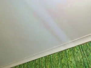 Cam4 Private Sex Chat of mshairys
