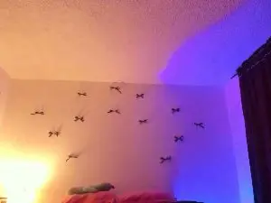 Cam4 Sex Cam of sweetmoth88