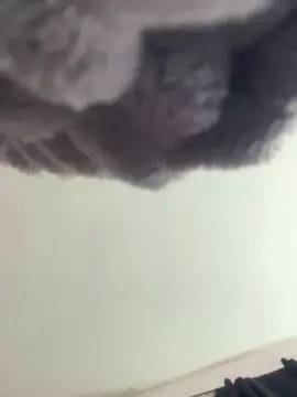 Cam4 Private Sex Chat of luli236