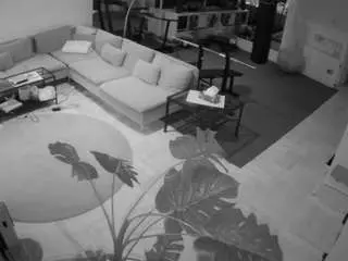 Camsoda Free Porn Cam of voyeurcam-julmodels-living-2
