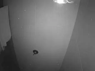 Camsoda Private Sex Chat of voyeurcam-casa-salsa-bathroom-11
