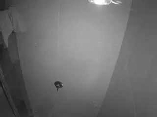Camsoda Free Porn Cam of voyeurcam-casa-salsa-bathroom-11
