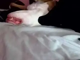 Camsoda Sex Cam of 1800fu