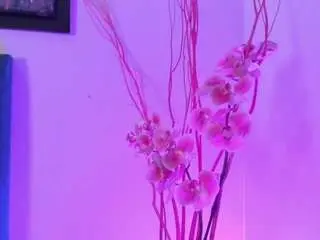 Camsoda Best live sex cam show of annaabrooks