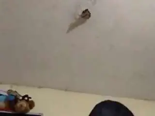 Camsoda Best Webcam of kumy2002