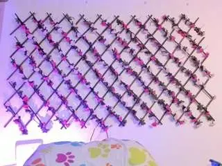 Camsoda Sex Cam of naughtyebonyy