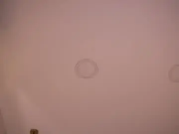 Chaturbate Live Sex of abby_me