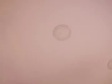 Chaturbate Free Porn Cam of abby_me
