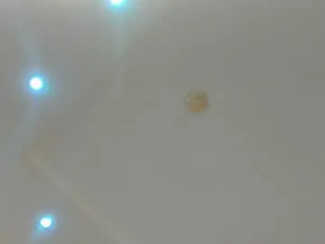 Chaturbate Adult Webcam of lina_smilee