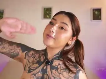 Chaturbate Adult Webcams of velvet_vicex
