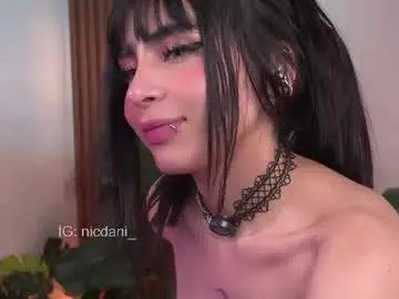 Chaturbate Adult Webcam of nicdani_1