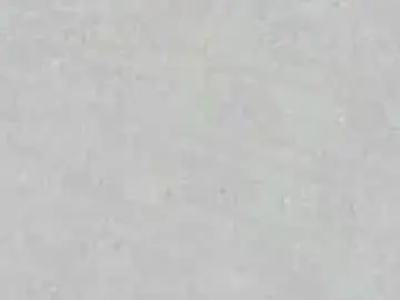 Chaturbate Free Porn Cam of carlotta_ricci