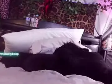 Chaturbate Adult Webcam of ms_booty_boop