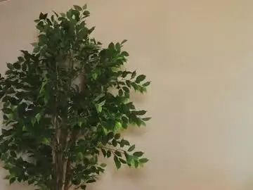 Chaturbate Private Sex Chat of lissa_meooow