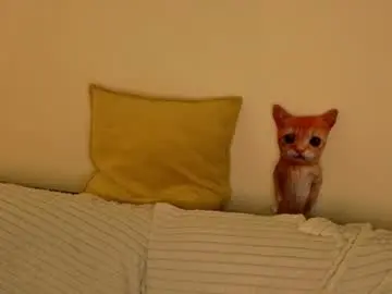 Chaturbate Best Webcam of hettiesalsa