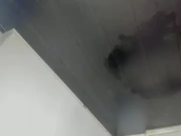 Chaturbate Live Porn of lola_js