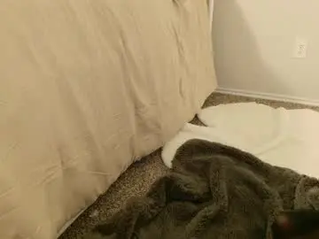 Chaturbate Sex Cam of elisparadisex