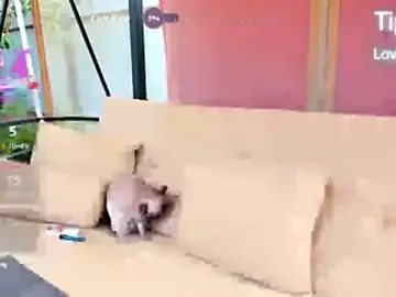 Stripchat Nude Webcam of r_e_l_a_x_
