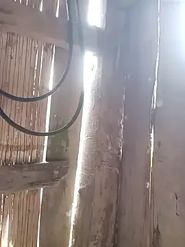 Stripchat Free Live Porn of ngockem